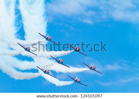 MALAGA, SPAIN-MAY 28: Aircrafts of the Patrulla Aguila taking part in an exhibition on the day of the spanish army forces on May 28, 2011, in Malaga, Spain