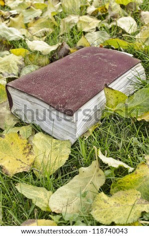 Book with the leaves in autumn.