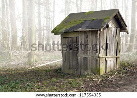 foggy scenery includinga old ramshackle wooden shack in the forest