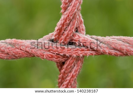 detail of crossed red ropes in green back