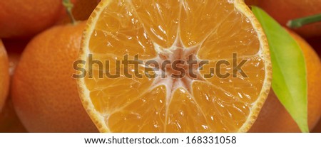fresh halved orange in orange fruit background