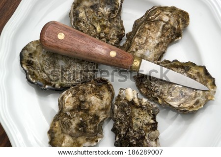some oysters with oyster knife on a white plate in wooden back, seen from above