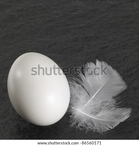 studio photography with egg and down feathers on black rough stone surface