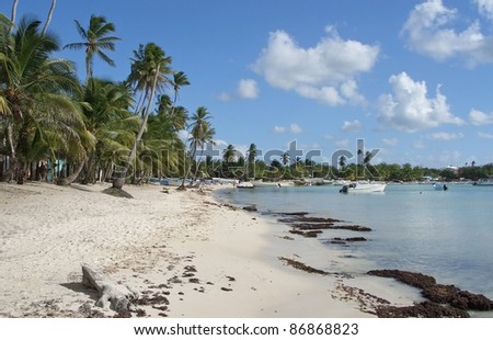 beach at the Dominican Republic, a island of Hispanola wich is a part of the Greater Antilles archipelago in the Carribean region