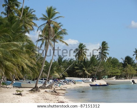 beach at the Dominican Republic, a island of Hispanola wich is a part of the Greater Antilles archipelago in the Carribean region. It contains some boats, beach and palm trees in sunny ambiance