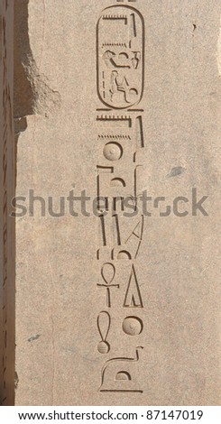 frontal shot of some stone-carved hieroglyphics at the Precinct of Amun-Re in Egypt (Africa)