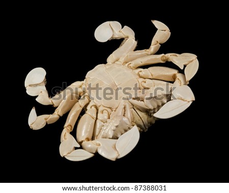 reverse side of a moon crab in black background