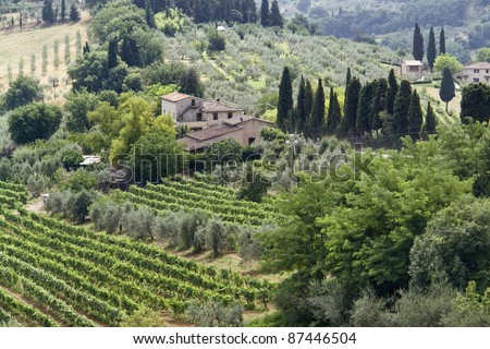 panoramic scenery located in the Chianti region of Tuscany, a area in Italy (Southern Europe)