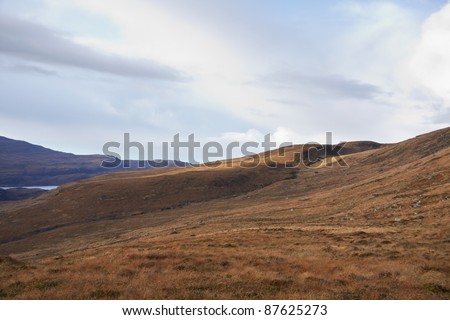 brown overgrown landscape in Scotland near Stac Pollaidh