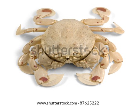 Crab Angle
