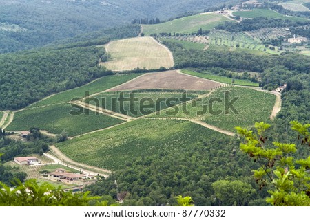 panoramic scenery located in the Chianti region of Tuscany, a area in Italy (Southern Europe)