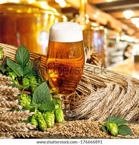 glass of beer with barley and hop cones
