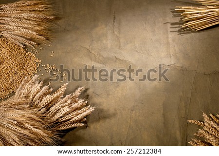 sheaf of wheat and barley on the dark desk