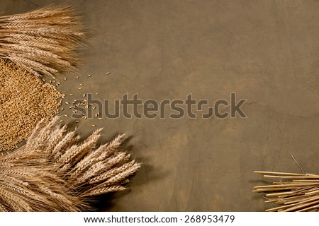 sheaf of wheat and barley