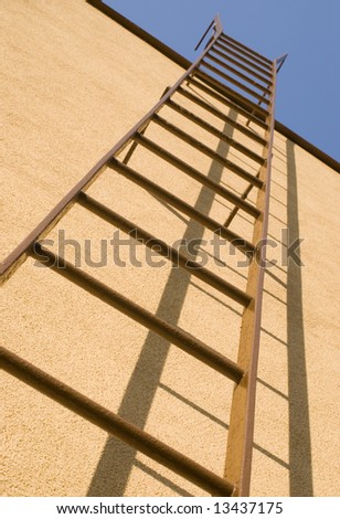 a long step ladder