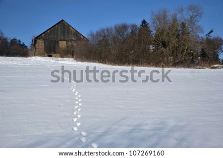 Old wooden building in winter in the sunshine