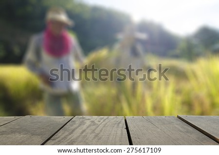 Defocus and blur image of terrace wood and farmer harvest paddy rice in farm for background usage
