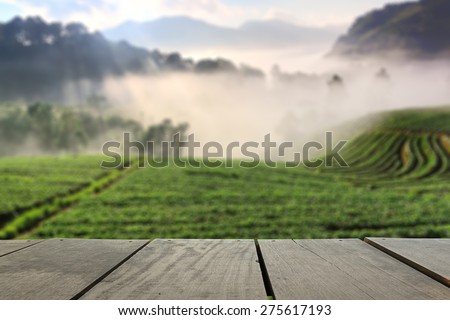 Defocused and blur image of terrace wood and landscape and fresh strawberry farm for background usage