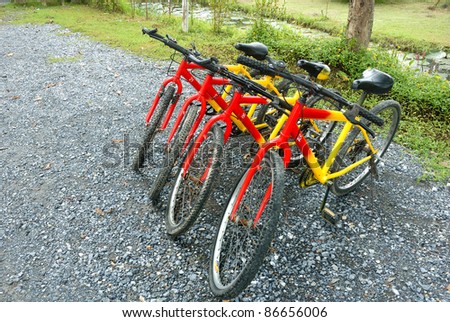 bicycles detail of a group of bikes on natural background