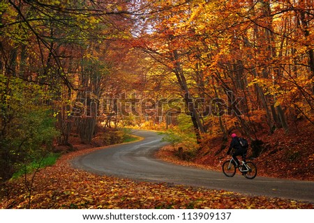 Man riding a bike on a curved road in autumn scenary Autumn bike riding Man riding a bike on a curved road in autumn scenary Autumn bike riding