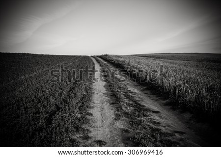 Country road, abstract natural landscape black and white