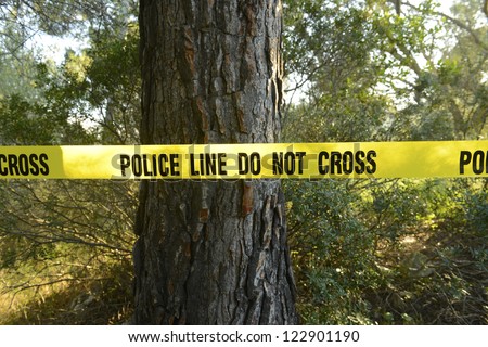 Crime scene in the forest: Yellow police line do not cross tape