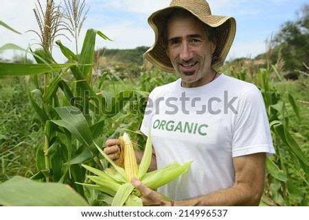 Organic farming: portrait of an eco farmer showing corn inside the plantation