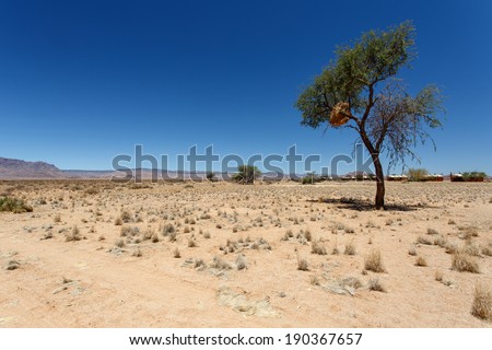 Desert Camp at Sossusvlei in the Namib Desert, Namibia, Africa