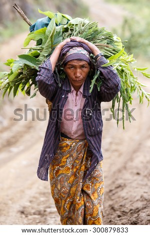 CHIN STATE, MYANMAR - JUNE 22 2015: Lady carries heavy load in the recently opened for tourists Chin State Mountainous Region, Myanmar (Burma)