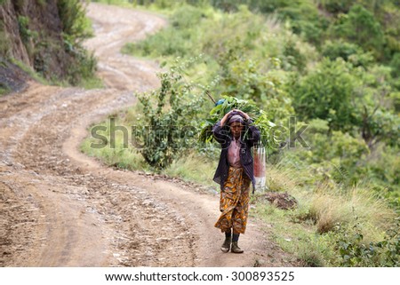 CHIN STATE, MYANMAR - JUNE 22 2015: Lady carries heavy load in the recently opened for tourists Chin State Mountainous Region, Myanmar (Burma)