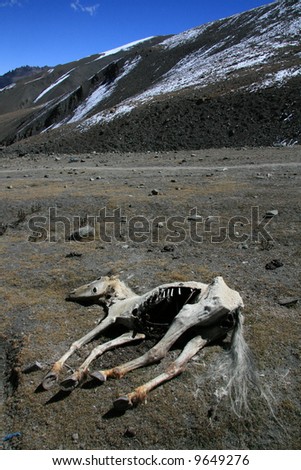 Dead Horse, Mountain Climb- Stok Kangri (6,150m / 20,080ft), India