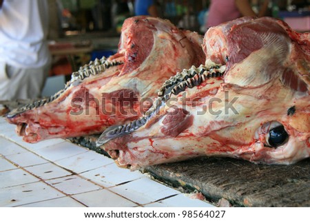 stock photo : cow head in450 stock photo : cow head in450