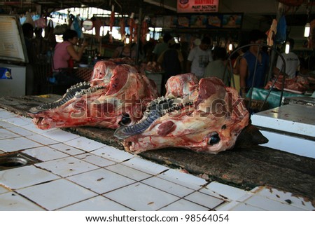 stock photo : cow head in450 stock photo : cow head in450