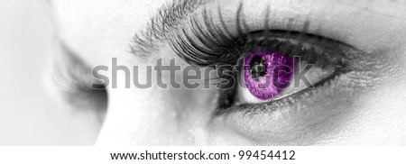 Purple Eye - Beautiful, Feminine