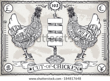 Detailed Illustration of a Vintage Page of English Cut of Chicken