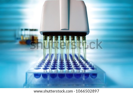 Multichannel pipette loading samples in pcr microplate with 96 wells / Multi channel pipette loading biological samples in microplate for test in the laboratory