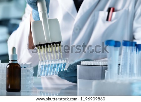 hands of scientist working with multichannel pipette and multi well plates / research technician with multipipette in genetic laboratory