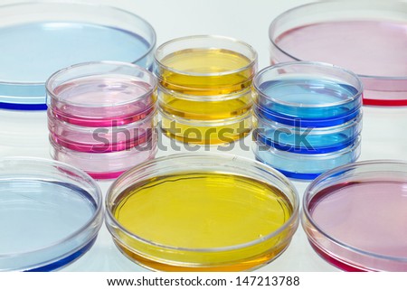 petri plates with colored liquids stacked in the laboratory bench