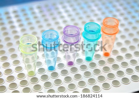 micro tubes dna at genetic laboratory