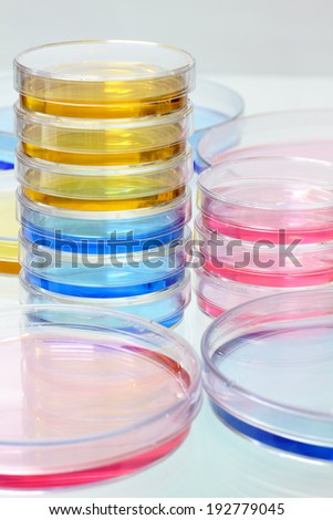 petri plates group stacked on the lab bench / petri dishes