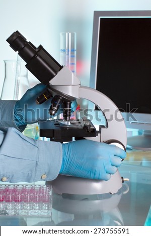 scientist hands working at the microscope in the medical laboratory / scientist examining samples in the micro in analytical laboratories