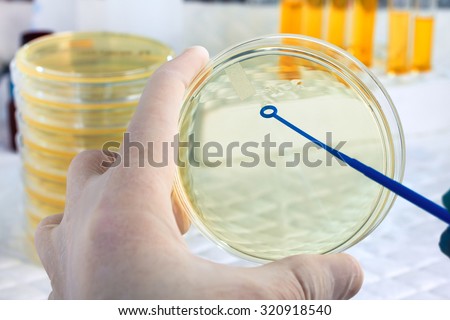 hand of microbiologist cultivating a petri dish whit inoculation loops and at background tubes and tools of laboratory / A scientist\'s hand holding a petri dish and loopful