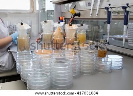 quality control inspection of food samples in the lab / analysis of food quality control in the laboratory