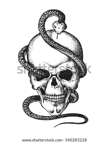 Hand Drawn Human Skull Entwined By Snake Vector Illustration