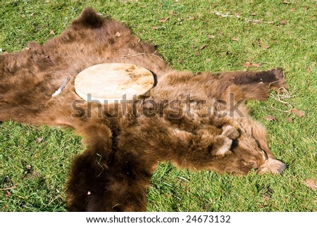 shamans tool  on fur of the brown bear on green herb