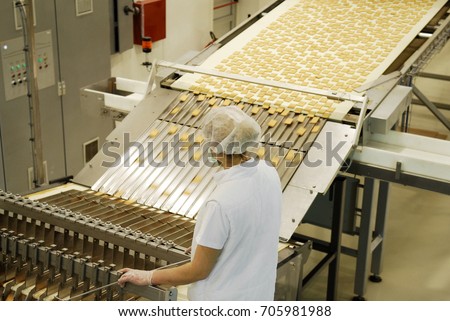 Biscuit and waffle production factory line