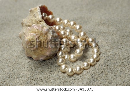 Shell with pearls on the sand