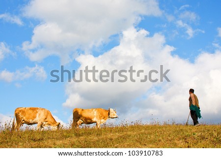 landscape with blue sky and white clouds, two cows and an old man