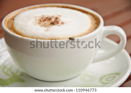 Fly on a coffee cup on wooden background.