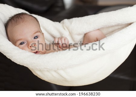 Color photo of a beautiful, alert newborn hanging in cheesecloth.